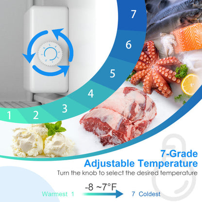3 Cubic Feet Compact Upright Freezer with Stainless Steel Door