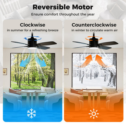 42inch Ceiling Fan with Light and Remote 3CCT LED with Memory 4H Timer 6 Speeds