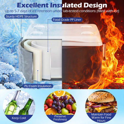 43.3 Quart Portable Hard Coolerwith Handles and 4 Cup Holders