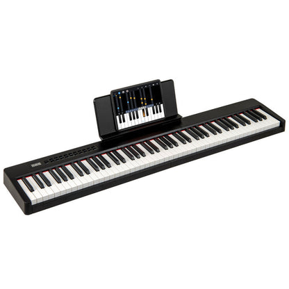88 Keys Velocity-Sensitive Piano Keyboard with French DREAM Audio Source