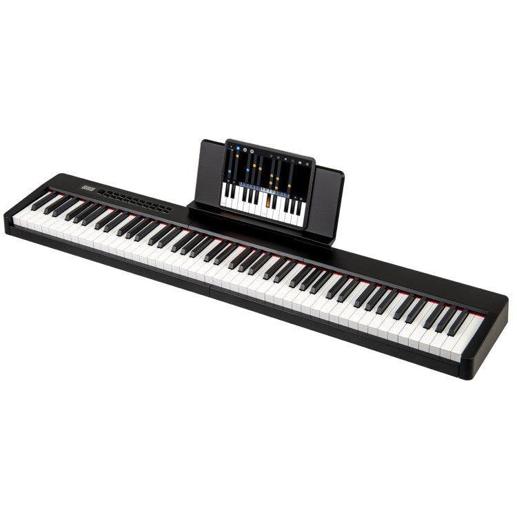 88 Keys Velocity-Sensitive Piano Keyboard with French DREAM Audio Source