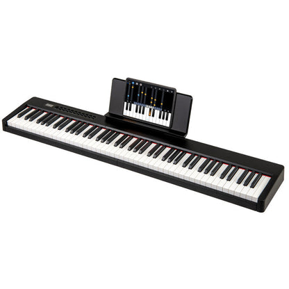 88 Keys Velocity-Sensitive Piano Keyboard with French DREAM Audio Source