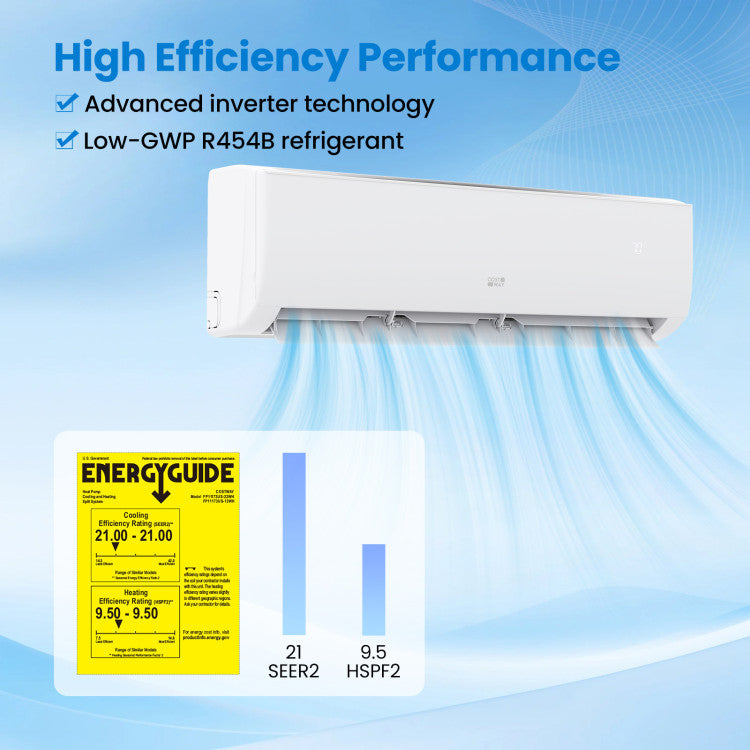 EcoGuard Series 24000 BTU 21 SEER2 208-230V Mini Split Air Conditioner and Heater