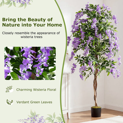 Set of 1/2 Fake Ficus Plant 6 FT Artificial Wisteria Tree with Natural Trunks and Purple Lifelike Flowers