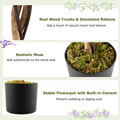 Set of 1/2 Fake Ficus Plant 6 FT Artificial Wisteria Tree with Natural Trunks and Purple Lifelike Flowers