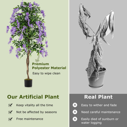Set of 1/2 Fake Ficus Plant 6 FT Artificial Wisteria Tree with Natural Trunks and Purple Lifelike Flowers