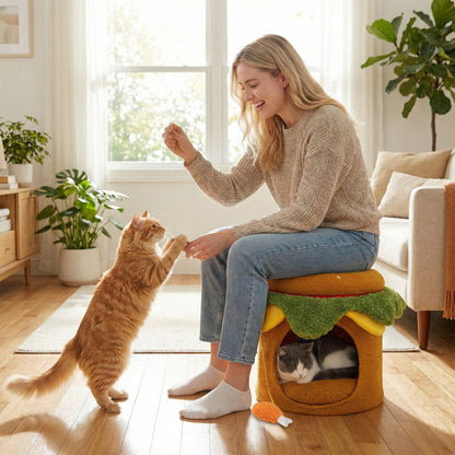 Hamburger Cat Nest with Chicken Drumstick Toy and Removable Cushion for Indoor Cats