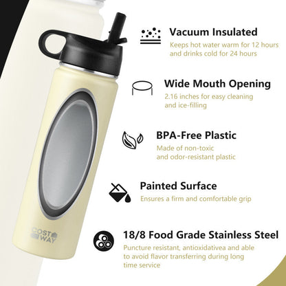 22 Oz Double-walled Insulated Stainless Steel Water Bottle with Straw Lid